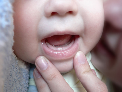 формирование зубов у малыша